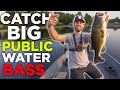 WHY YOU’RE NOT Catching BIG Bass on pressured public water