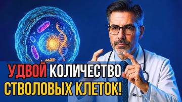 🧬 Это УДВАИВАЕТ количество СТВОЛОВЫХ КЛЕТОК за 30 дней (Научно ДОКАЗАНО)