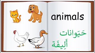 حيوانات أليفة + حيوانات المزرعة بالانجليزية