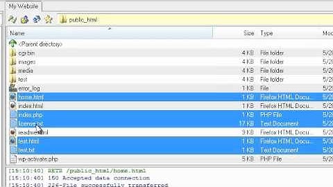 How to manage your files using LeapFTP