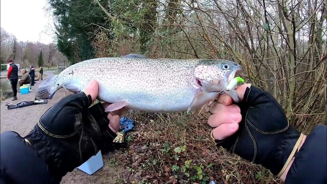 Dieperschrater Mülle. Форель на отводной поводок и резину от Lilix ...