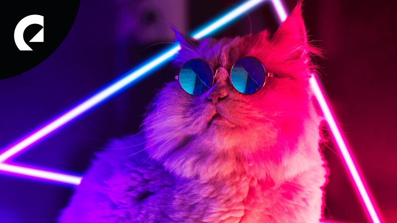 Electronic Music for Concentration and Focus (1 Hour) YouTube