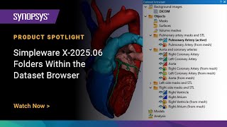 Simpleware X-2025.06 - Folders Within the Dataset Browser