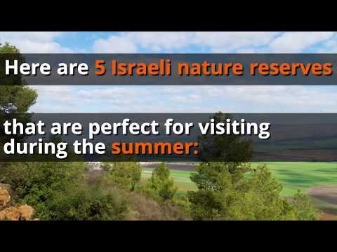 Video: Summer Israel Subtleties