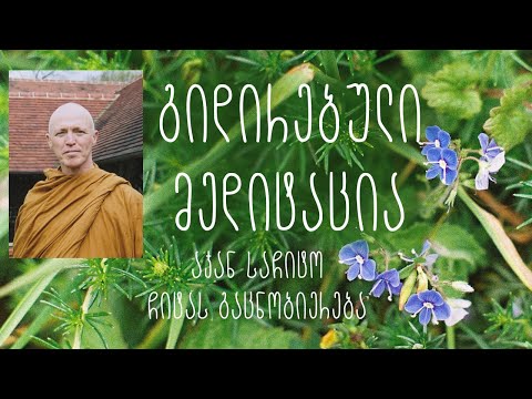 აჯან საჩიტო - გიდირებული მედიტაცია, ჩიტას გაცნობიერება