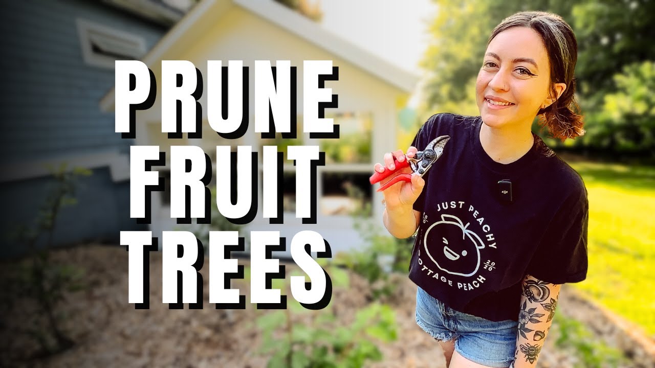 How to Prune Your Fruit Trees in Summer | Backyard Orchard Culture ...