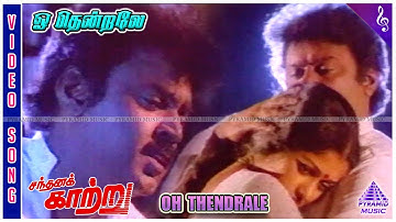 Oh Thendrale (Sad) Video Song | Sandhana Kaatru Movie Songs | Vijayakanth | Gautami | Shankar Ganesh