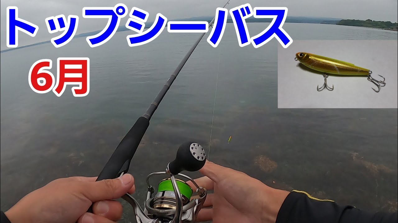 シーバス トップで藻シーバス Youtube