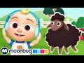 Baa Baa Black Sheep Dance Party! | @Cocomelon - Nursery Rhymes | Sing Along ABC 123 Cartoons & Songs