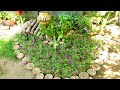 Gardening Ideas are extremely intelligent and creative | TEO Garden