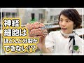脳内タンパク「BDNF」脳の神経細胞が生きる、機能する（例えば記憶する）をサポートする｜#01 金沢工業大学 小島正己先生