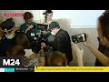 Сын Ефремова выразил соболезнования семье Захарова, погибшего в аварии - Москва 24