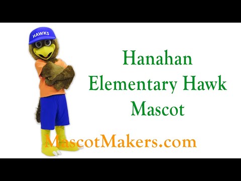 Hanahan Elementary Hawk Mascot Costume for Hanahan Elementary School, SC, USA