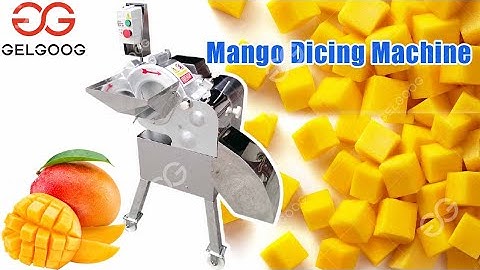 Mango Cutting Machine for Sale in South Africa | Mango Cutter Machine