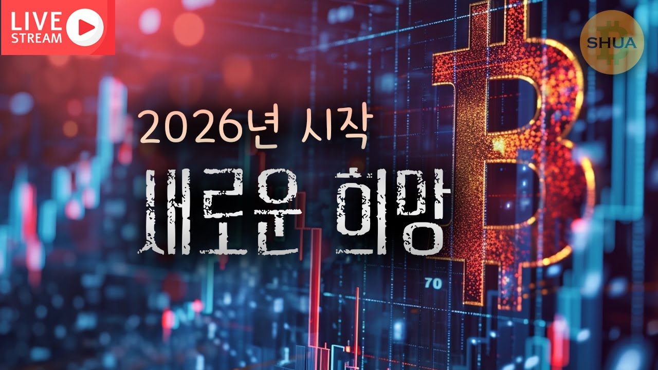 비트슈아 유튜브 채널 분석 보고서 - NoxInfluencer