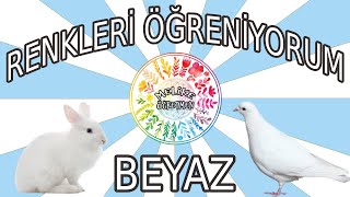 RENKLERİ ÖĞRENİYORUM // BEYAZ // OKUL ÖNCESİ