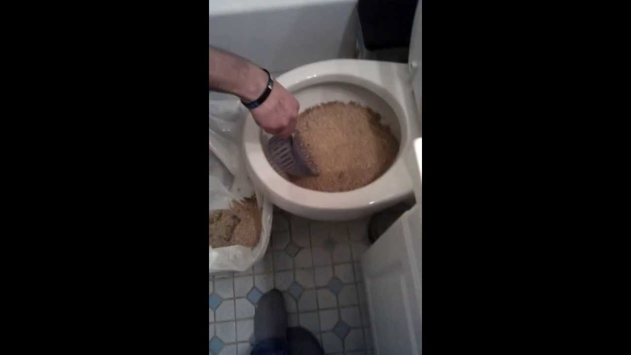 Sacha Pue Du Cul Youtube