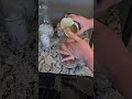 agua de nuez avena nuez leche ra carnecion vanilla llelo sabrosa