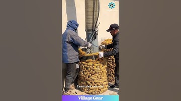 Corn Shelling Time! Getting the Job Done #farming #corn #work