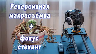 Реверсивная макросъёмка + фокус стекинг