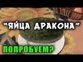 В Крыму продаются &quot;Драконьи яйца&quot;. Попробуем?