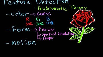 Vision: Feature Detection & Parallel Processing