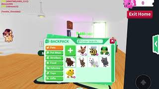 Play video: Trading a beaver!!!!!(fail)