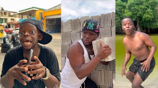 Los Mejores Videos De Humor Pinguilord Ístico O