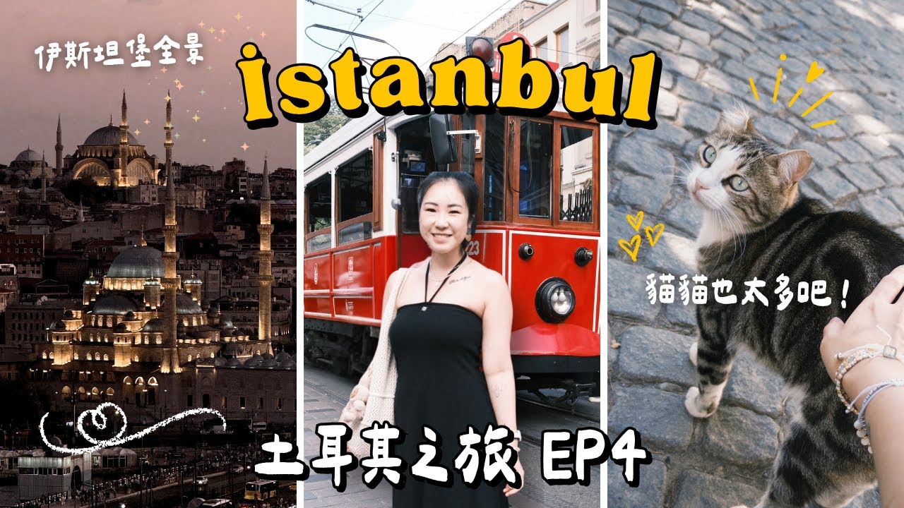 【土耳其自由行 EP4🇹🇷】被貓貓包圍的伊斯坦堡🐈藍色清真寺/聖索菲亞大教堂/對土耳其的感想是.... | samanthaluiii 🕊️