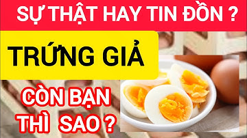 SỰ  THẬT VỀ TRỨNG GIẢ: Lợi Ích Tuyệt Vời Của Trứng Và Cách Nhận Biết An Toàn