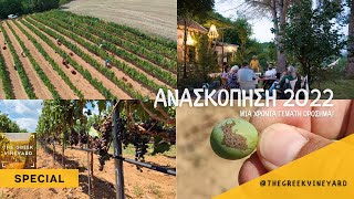 Ανασκόπηση του 2022 | Μια Χρονιά ΟΡΟΣΗΜΟ Για Το The Greek Vineyard!