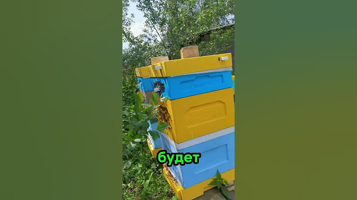 На САМОМ ДЕЛЕ 🐝 🤷 #пчеловодство