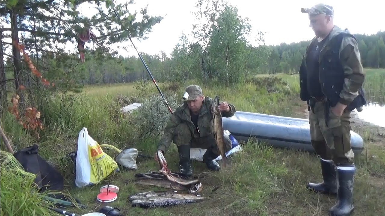 Охота и рыбалка в тайге/ Щуки на спиннинг, кружки, самоловки/ Охота на рябчика/ Грибы.