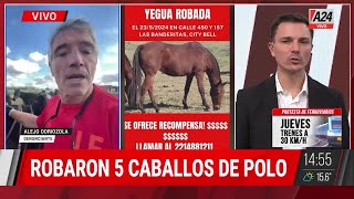 🔴🐎 ¿QUÉ HAY DETRÁS DEL ROBO DE CABALLOS?: 