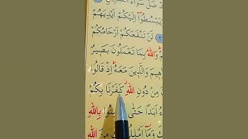 سورة الممتحنة الأية 4 بصوت سعد الغامدي