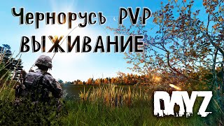 Dayz. Обзор сервера: Sea Dyaz Чернорусь PVP. Соло ВЫЖИВАНИЕ.