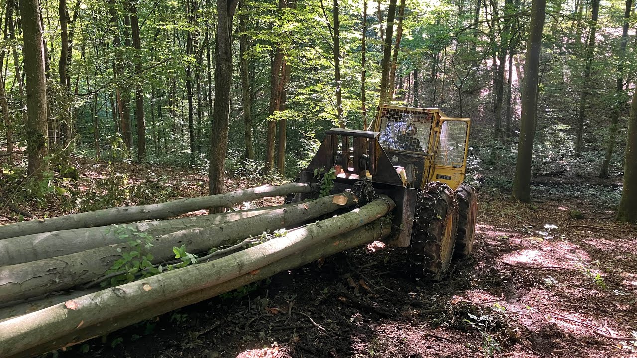 LKT 81 S/Turbo ťažba dreva