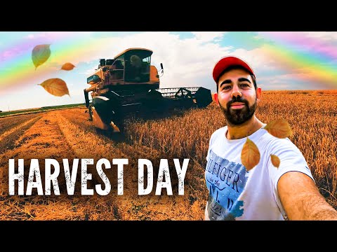 Video: Vai pļaujmašīna nodega?