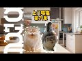 真是給了我個大驚喜! #上門餵貓