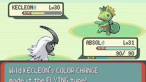 Pokemon Emerald Walkthrough - Part 40: Route 120 3/3