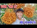 QUÁ NHIỀU LÝ DO ĐỂ BẠN TRỒNG CÂY CÓC THÁI TẠI NHÀ