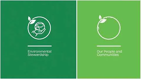 Domtar's Sustainability Strategy