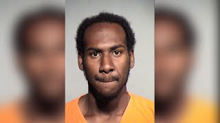 Man arrested after allegedly attacking TSA officers at Phoenix Sky Harbor