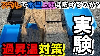 メダカ水槽の水温上昇対策について～遮光対策！過昇温防止～【実験結果/真夏のメダカ飼育/夏に最適な容器の色】