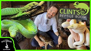 CLINT'S REPTILE ROOM GRAND OPENING!
