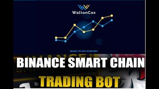 WaltonCox 24/7 BSC Trading Bot showing real time results.