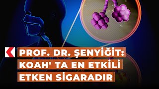 Prof Dr Şenyiğit Koah Ta En Etkili Etken Sigaradır