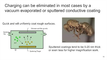 MSE585 F20 Lecture 19 Module 1 - SEM Image Artifacts