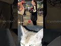 🤣_#voiceacting _#tiktoktrending _#jumpstyle