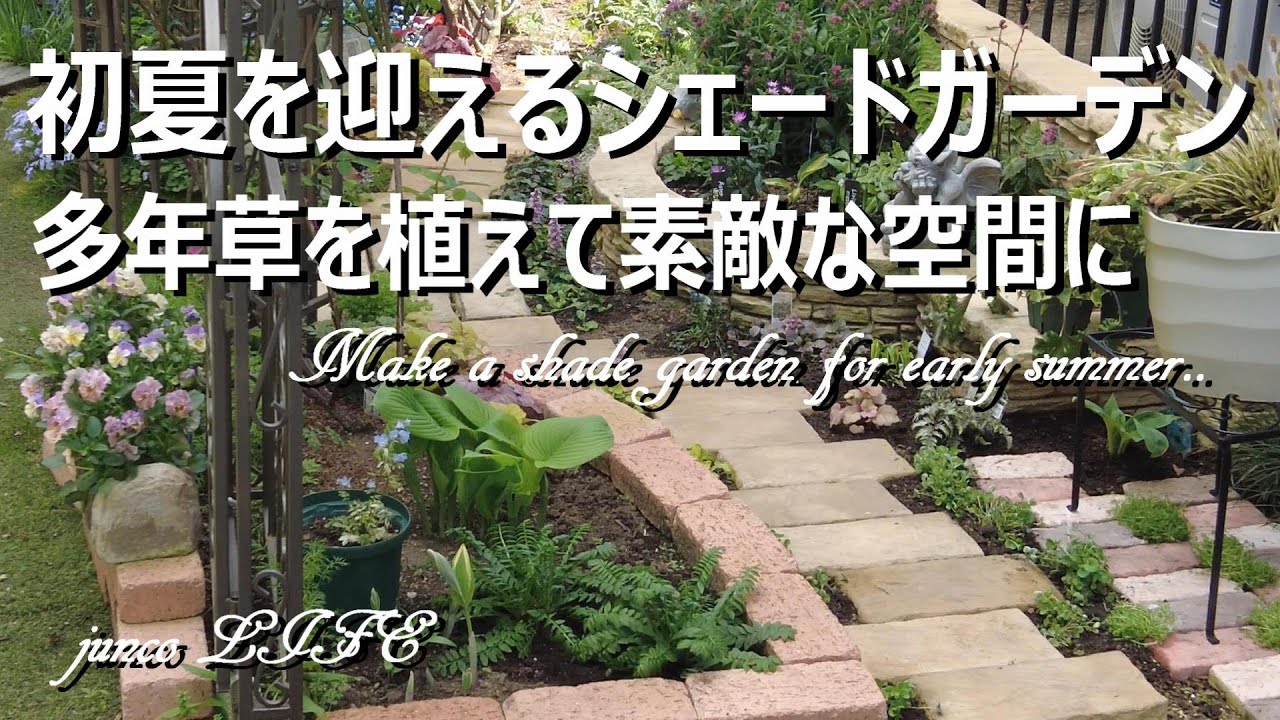 リーフと花で長く楽しめるシェードガーデンの植え付け＊猫